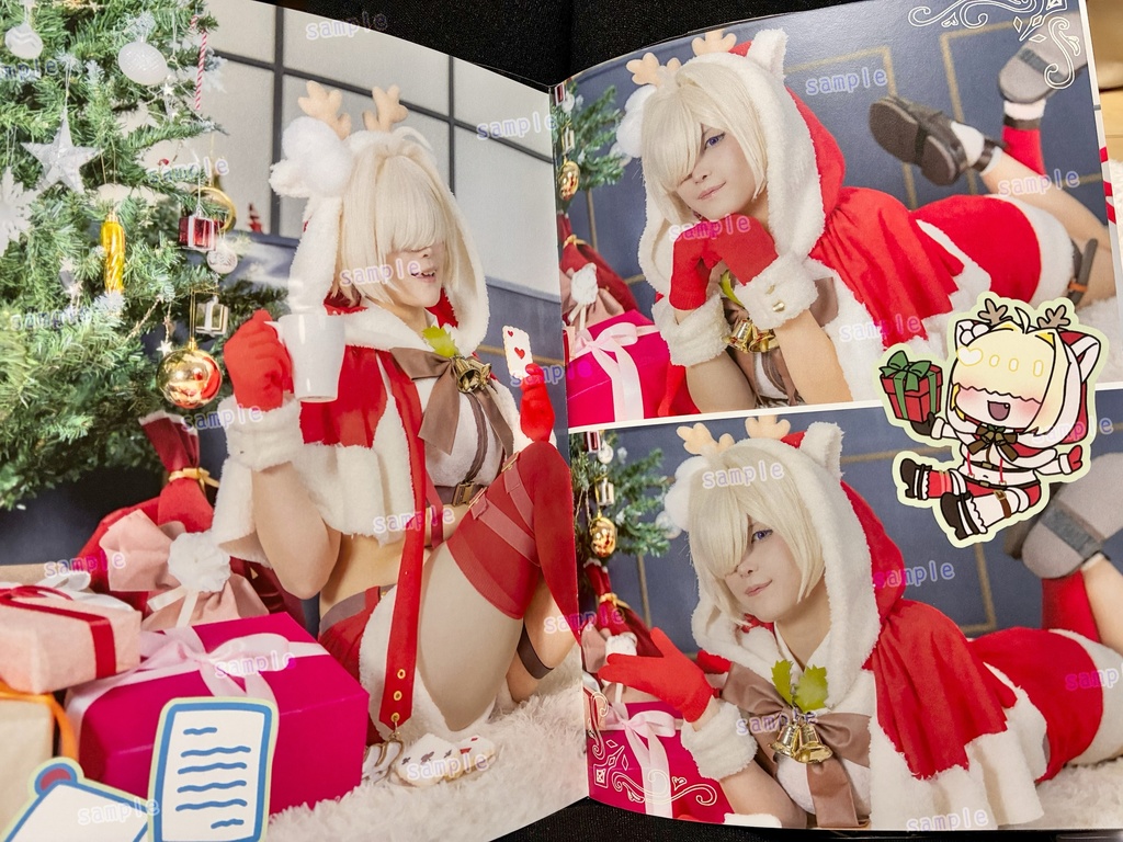 Eleeg's christmas gift to the commander