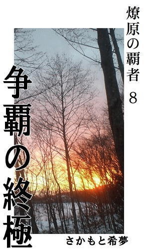 燎原の覇者8　争覇の終極