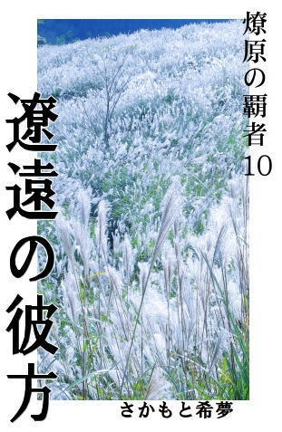 燎原の覇者10　悠遠の彼方