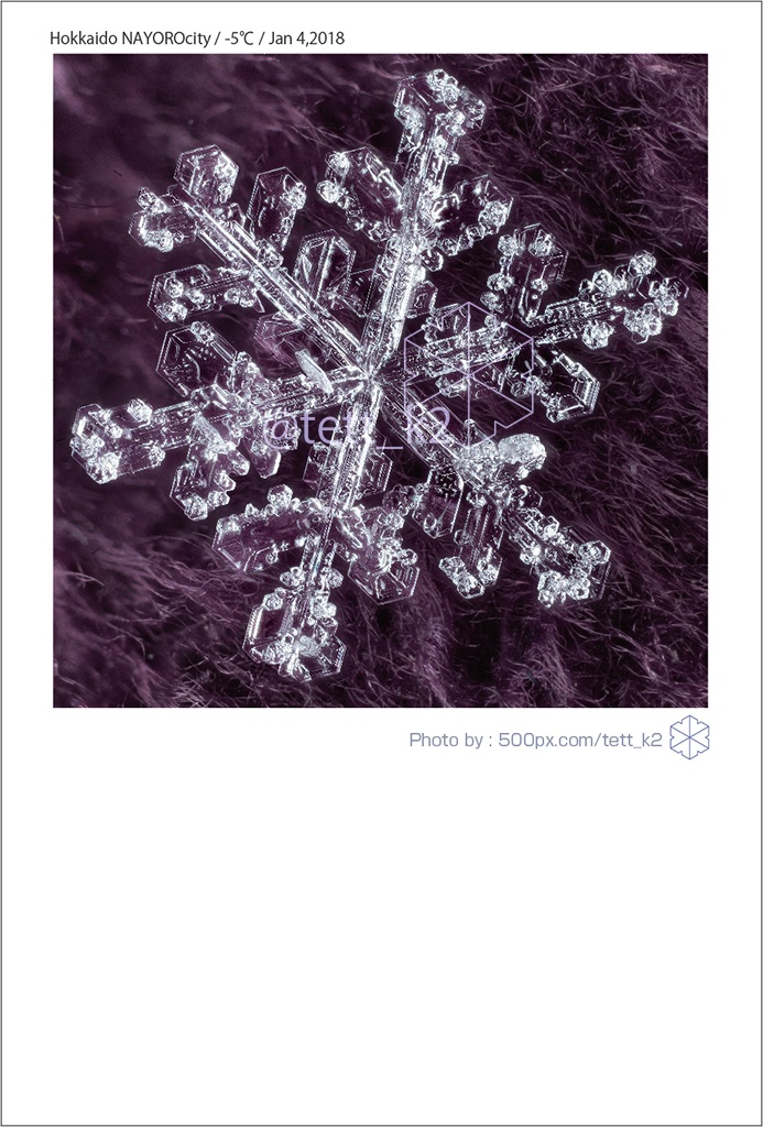 雪結晶 Snowflakes ポストカード 12枚セット