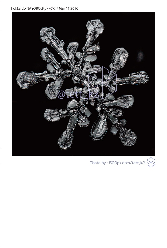 雪結晶 Snowflakes ポストカード 12枚セット