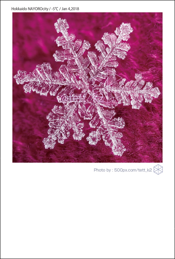 雪結晶 Snowflakes ポストカード 12枚セット