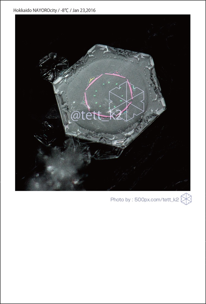 雪結晶 Snowflakes ポストカード 12枚セット