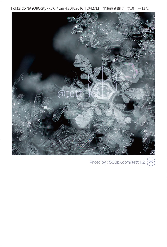 雪結晶 Snowflakes ポストカード 12枚セット