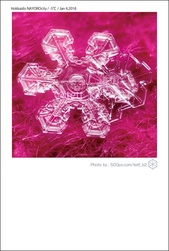 雪結晶 Snowflakes ポストカード 12枚セット