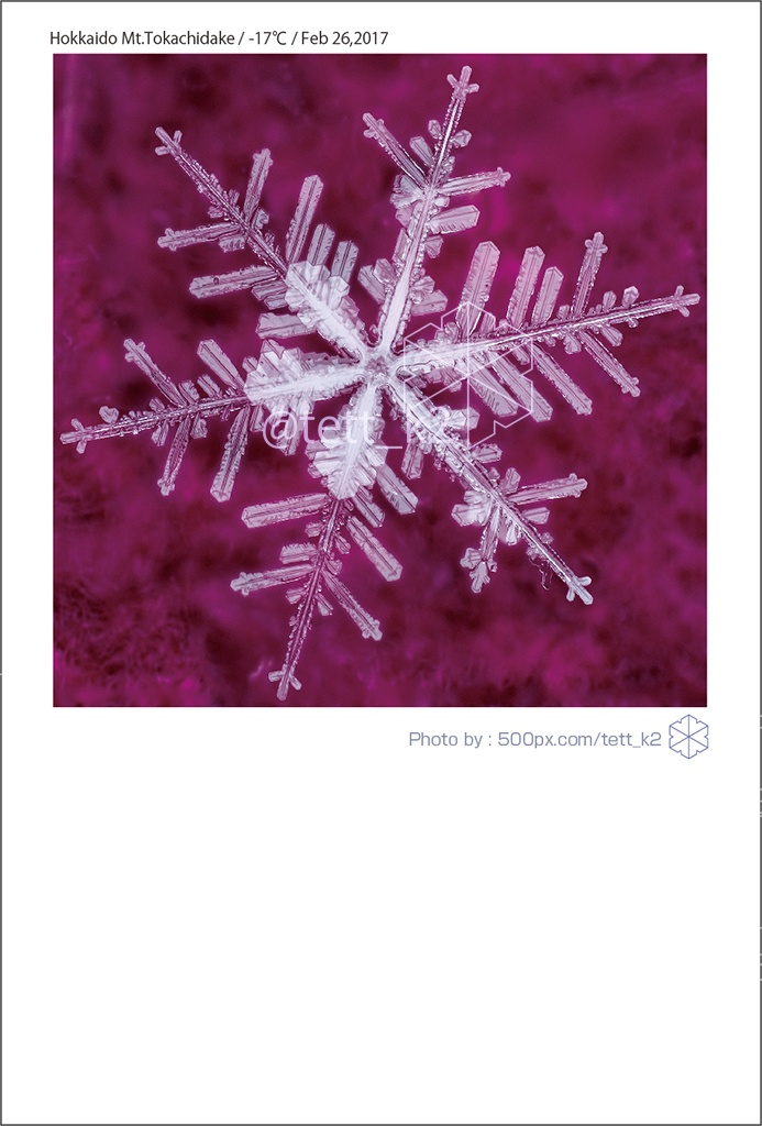 雪結晶 Snowflakes ポストカード 12枚セット