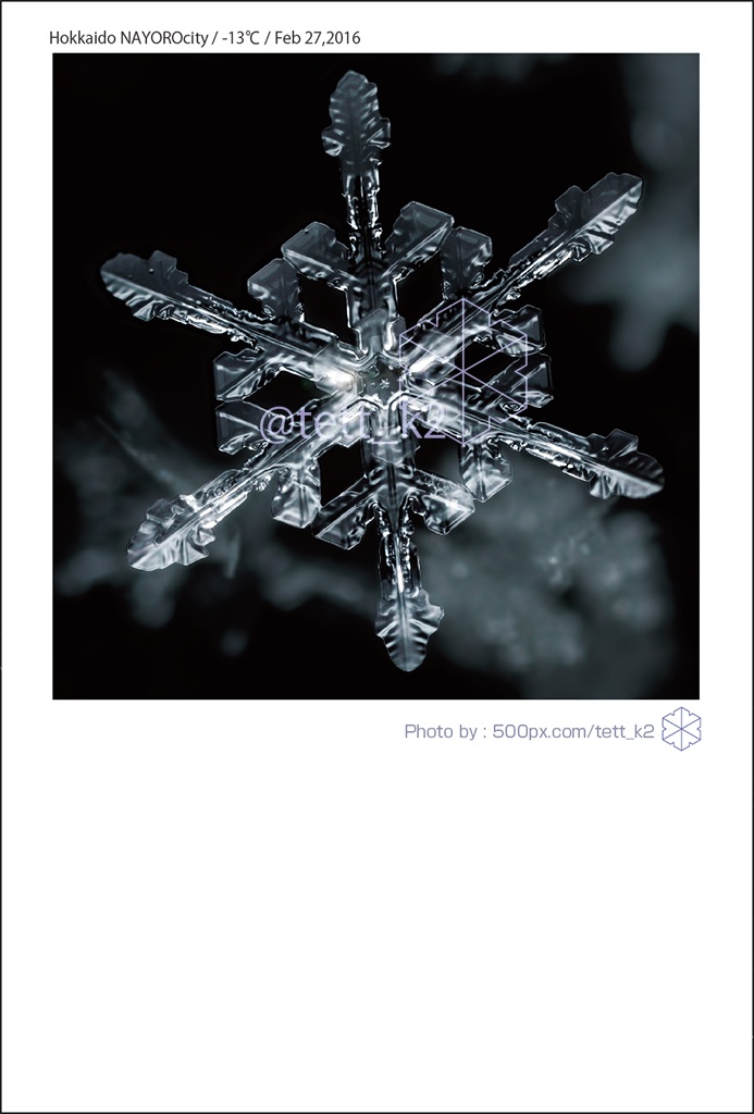 雪結晶 Snowflakes ポストカード 12枚セット