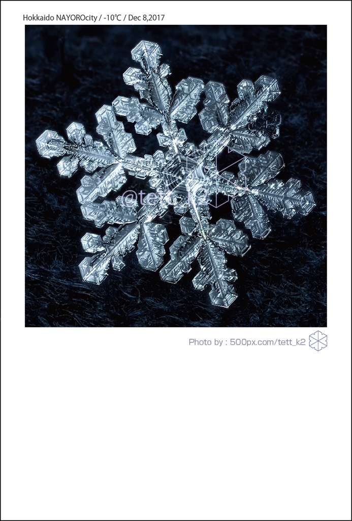 雪結晶 Snowflakes ポストカード 12枚セット