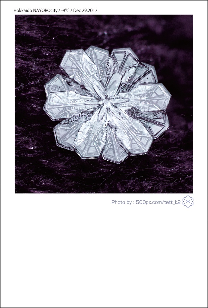 雪結晶 Snowflakes ポストカード 12枚セット