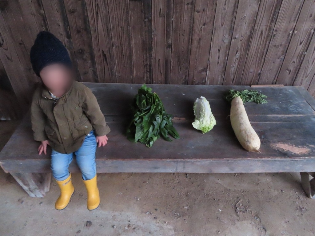 ”自分好みにアレンジできる”イニシャルワッペン ー よこさんの手作りニットシリーズ