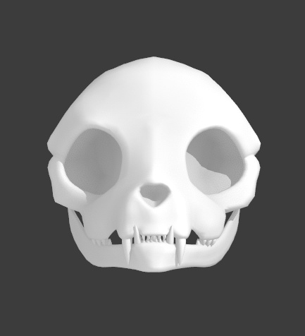 Skull Cat Skull