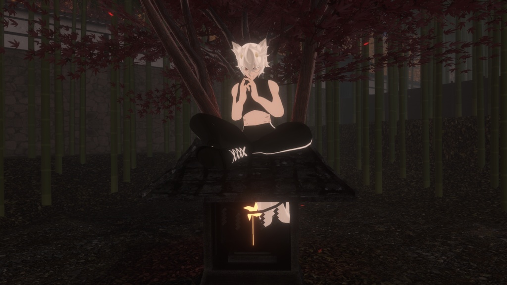 Maruchi Turtle Neck Crop with Sweats