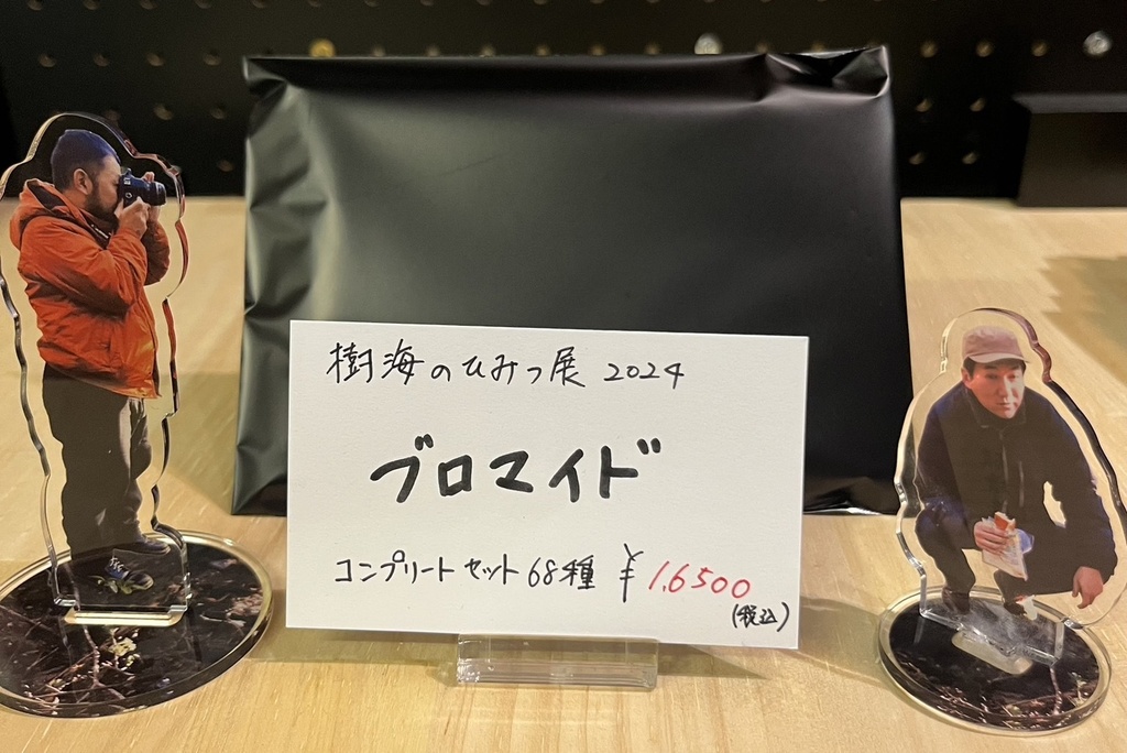 樹海のひみつ展2024　コンプリートセット68種