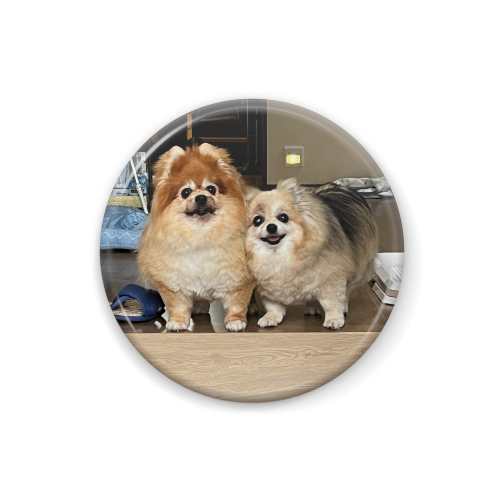 Cereza & Neige Badge