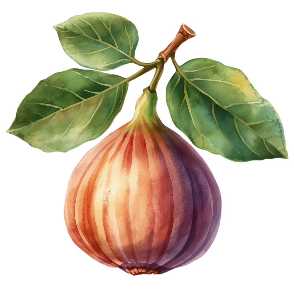 【古い図鑑風シリーズ】水彩フルーツクリップアート10点セット(PNG背景)