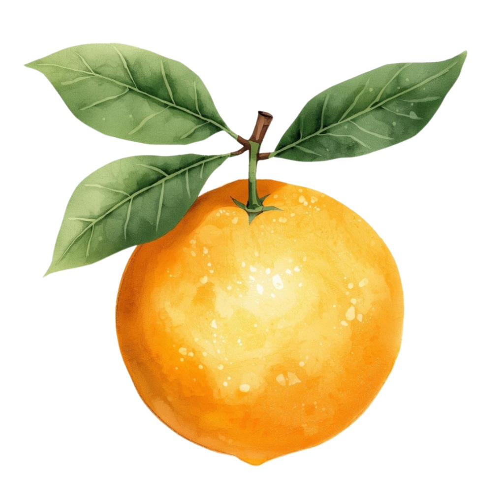 【古い図鑑風シリーズ】水彩フルーツクリップアート10点セット(PNG背景)