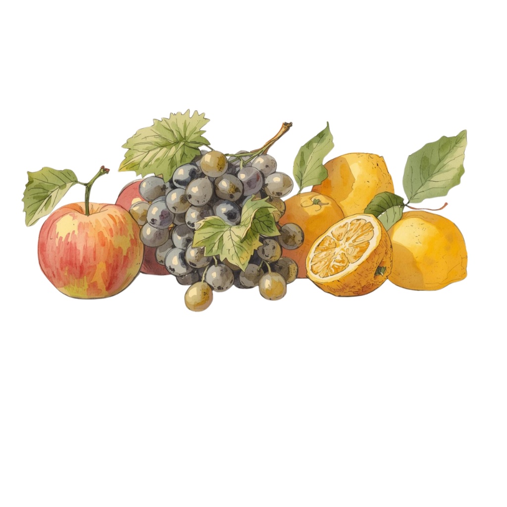 【古い図鑑風シリーズ】水彩フルーツクリップアート10点セット(PNG背景)