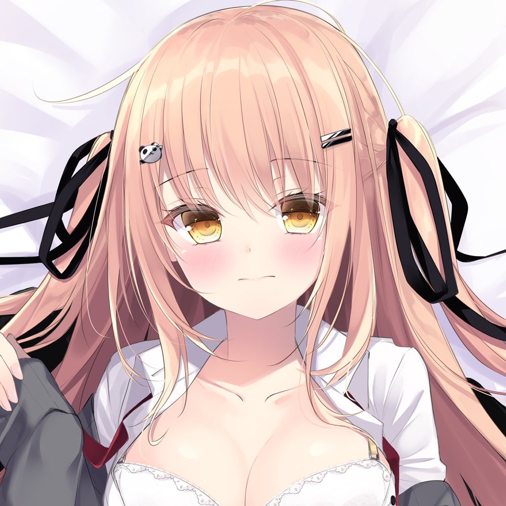 【〆受注生産】しゃち子抱き枕カバー