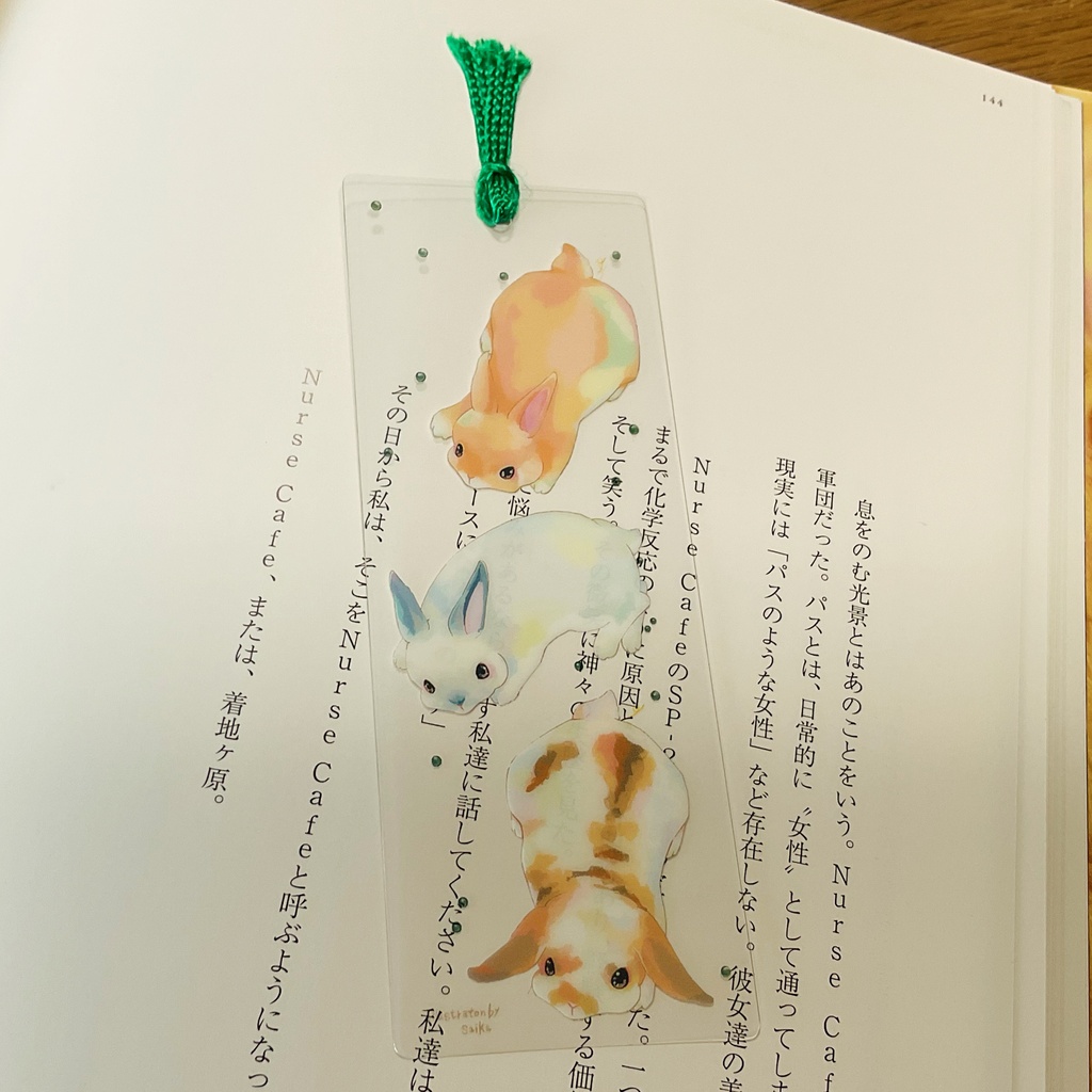 【栞】フンするウサギ