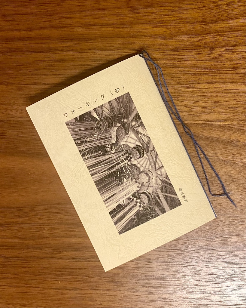 野本泰地「Songbook vol.1」&「ウォーキング(抄)」(セット販売)