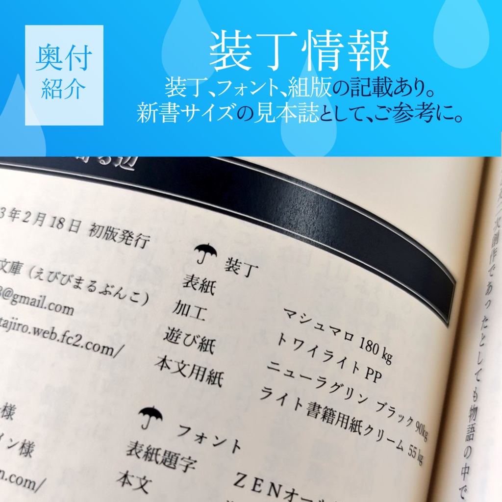 【不二周助 夢小説】『決戦前後の日の寄る辺』