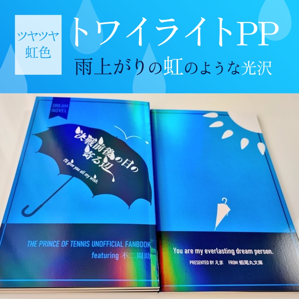 【不二周助 夢小説】『決戦前後の日の寄る辺』