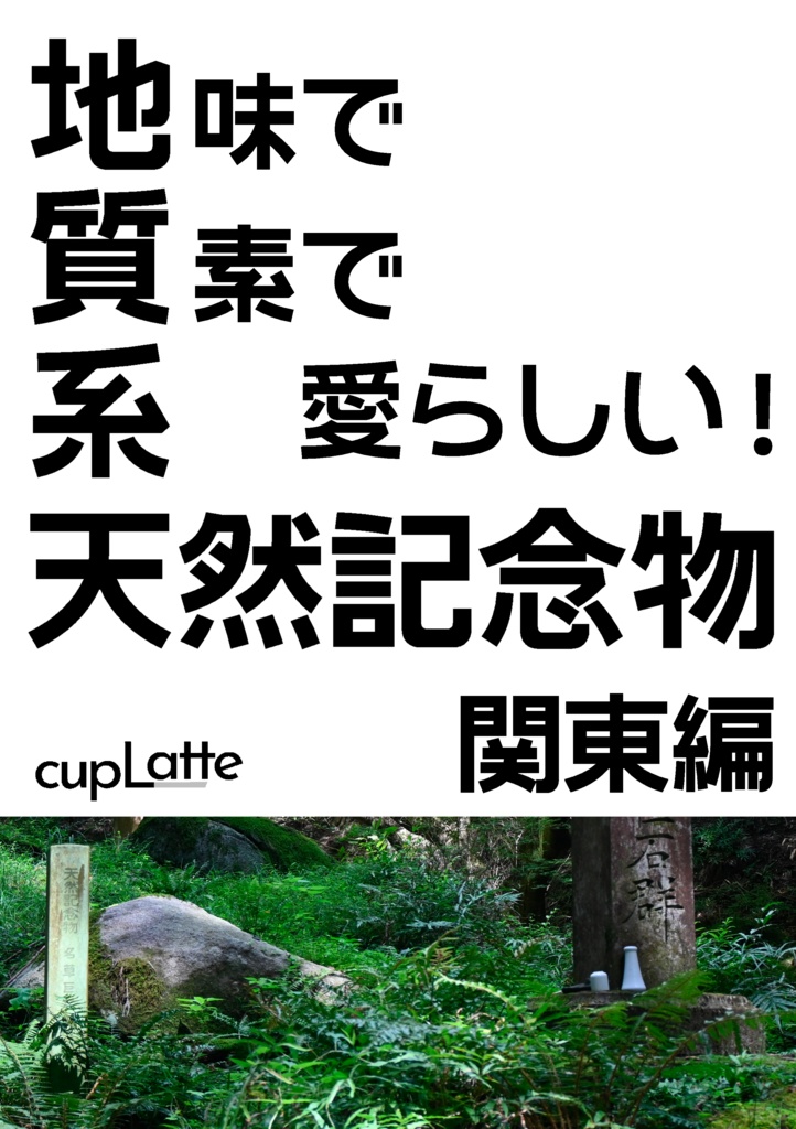 地味で質素で愛らしい！地質系天然記念物―関東編