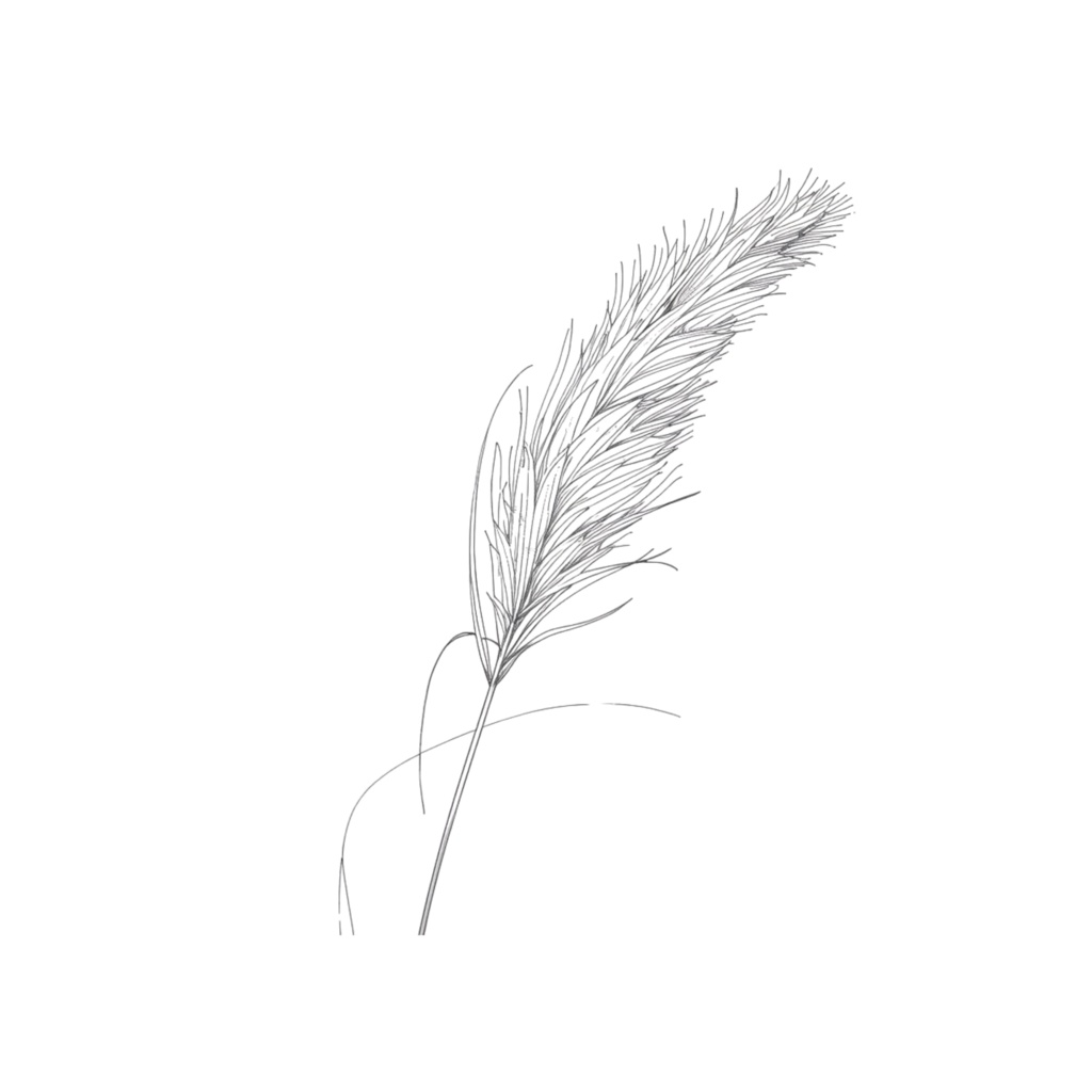 Wedding Edit|ウェディング クリップアートコレクション③