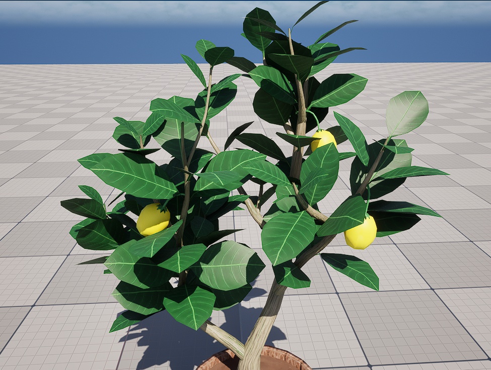 樽をリメイクしたプランターに植えられたレモンの木