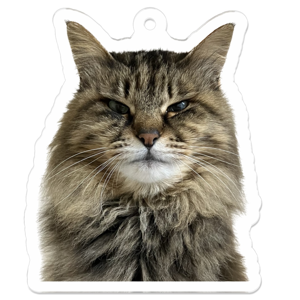 ひめちゃんアクリルキーホルダー