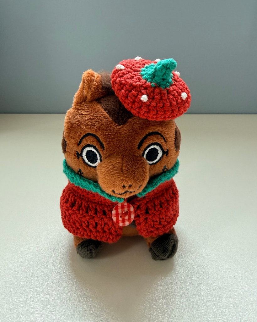 イチゴの帽子と羽織りセット①