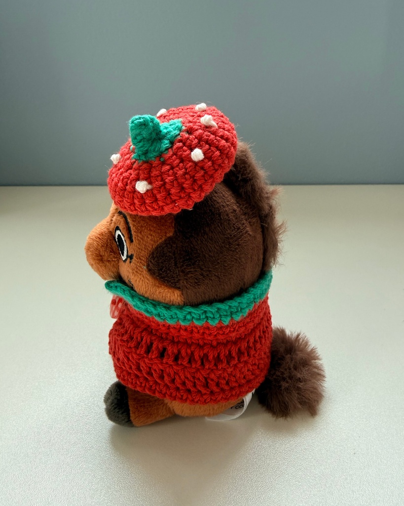 イチゴの帽子と羽織りセット①