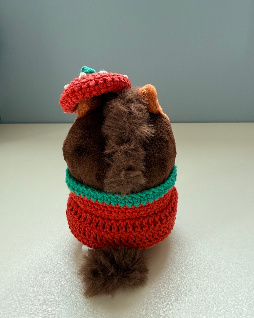 イチゴの帽子と羽織りセット①