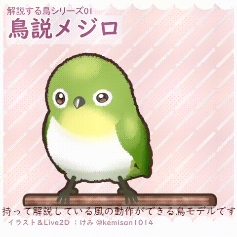 【汎用Live2Dモデル】鳥説メジロ【VTS,nizimaLIVE対応】