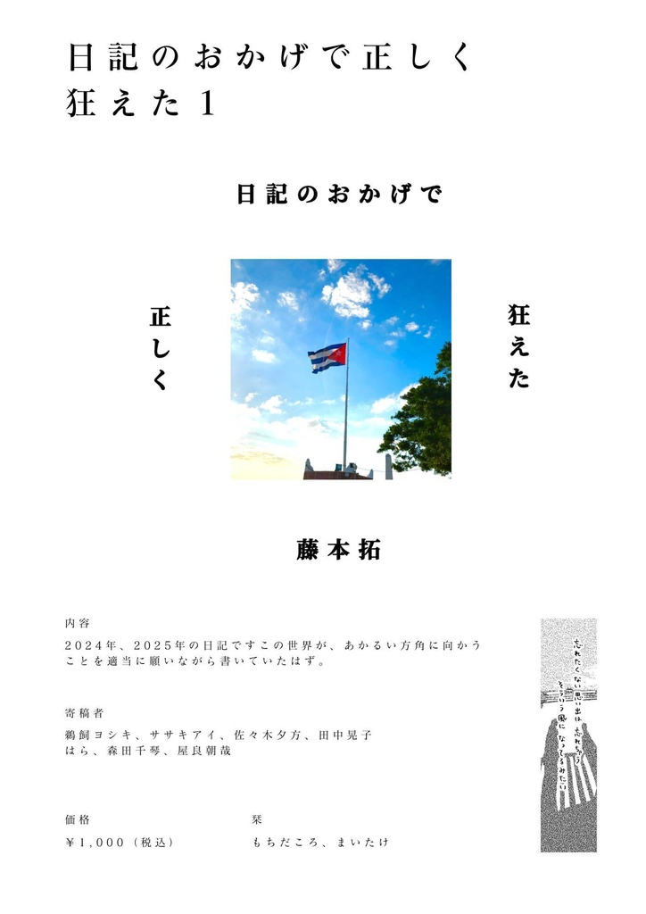 日記のおかげで正しく狂えた1