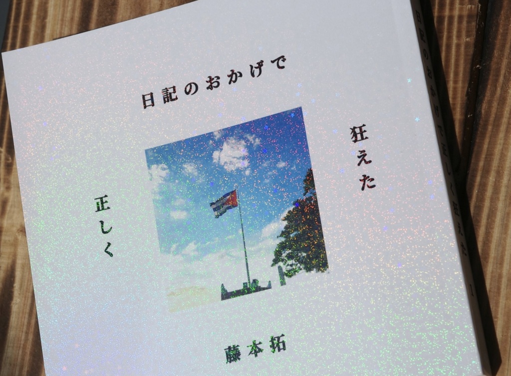 日記のおかげで正しく狂えた１