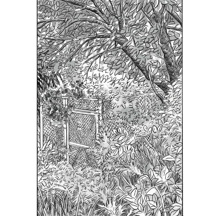 2冊セット『怪獣と棕櫚』&『Kathmandu Beat』