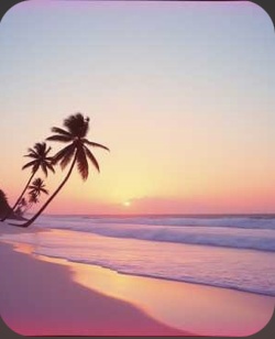 Fiesta Tropical