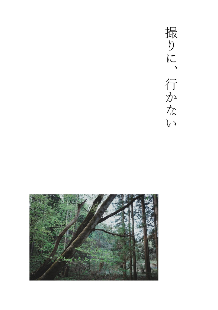 撮りに、行かない
