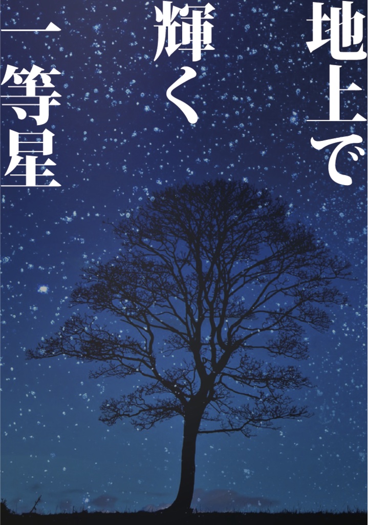 地上で輝く一等星