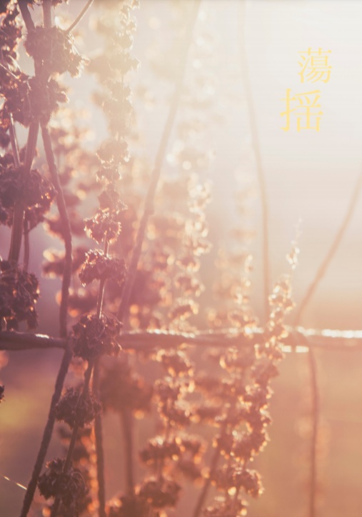 蕩揺