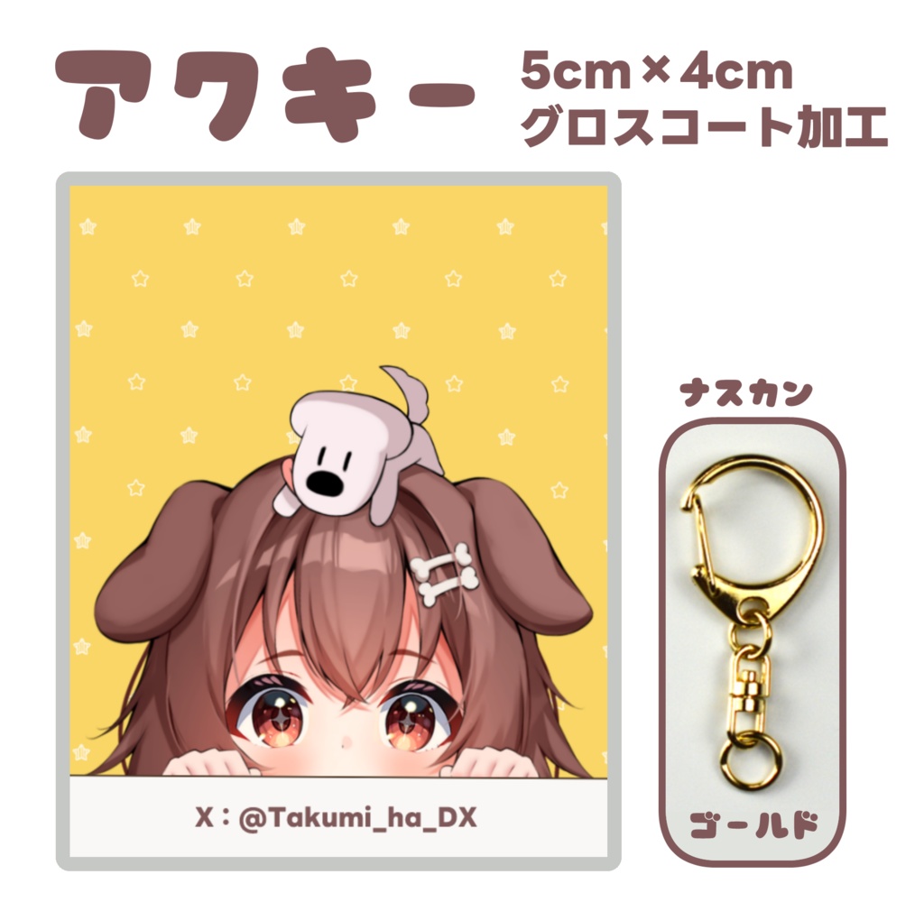 【非公式】アクキーc