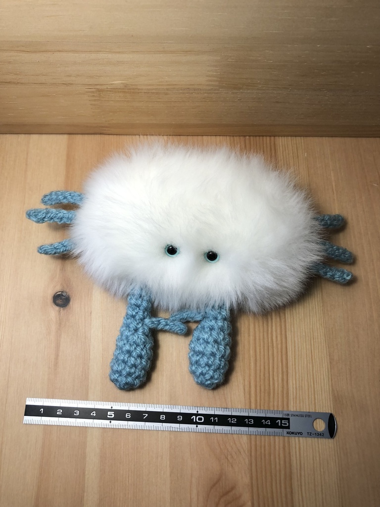 毛ガニの赤ちゃん みに