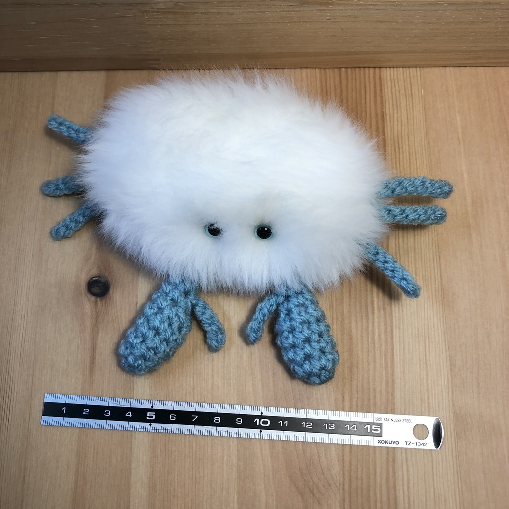 毛ガニの赤ちゃん むに