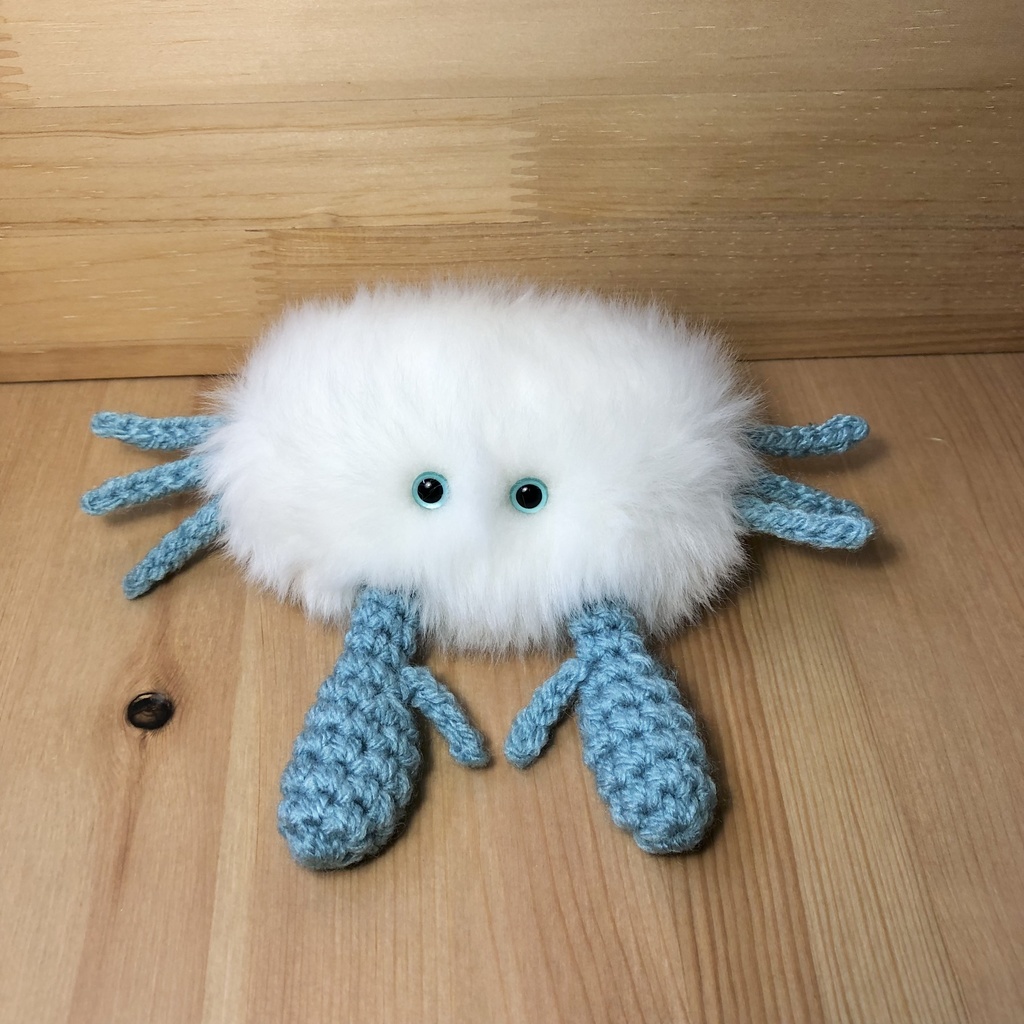 毛ガニの赤ちゃん　めに