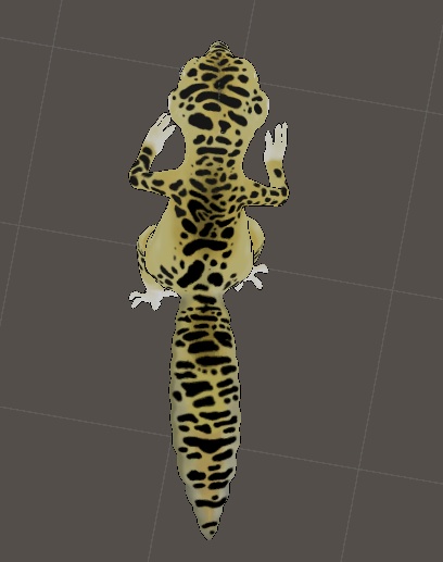 leopard gecko(ヒョウトカゲ) original 3D model - maneulssam - 4/4