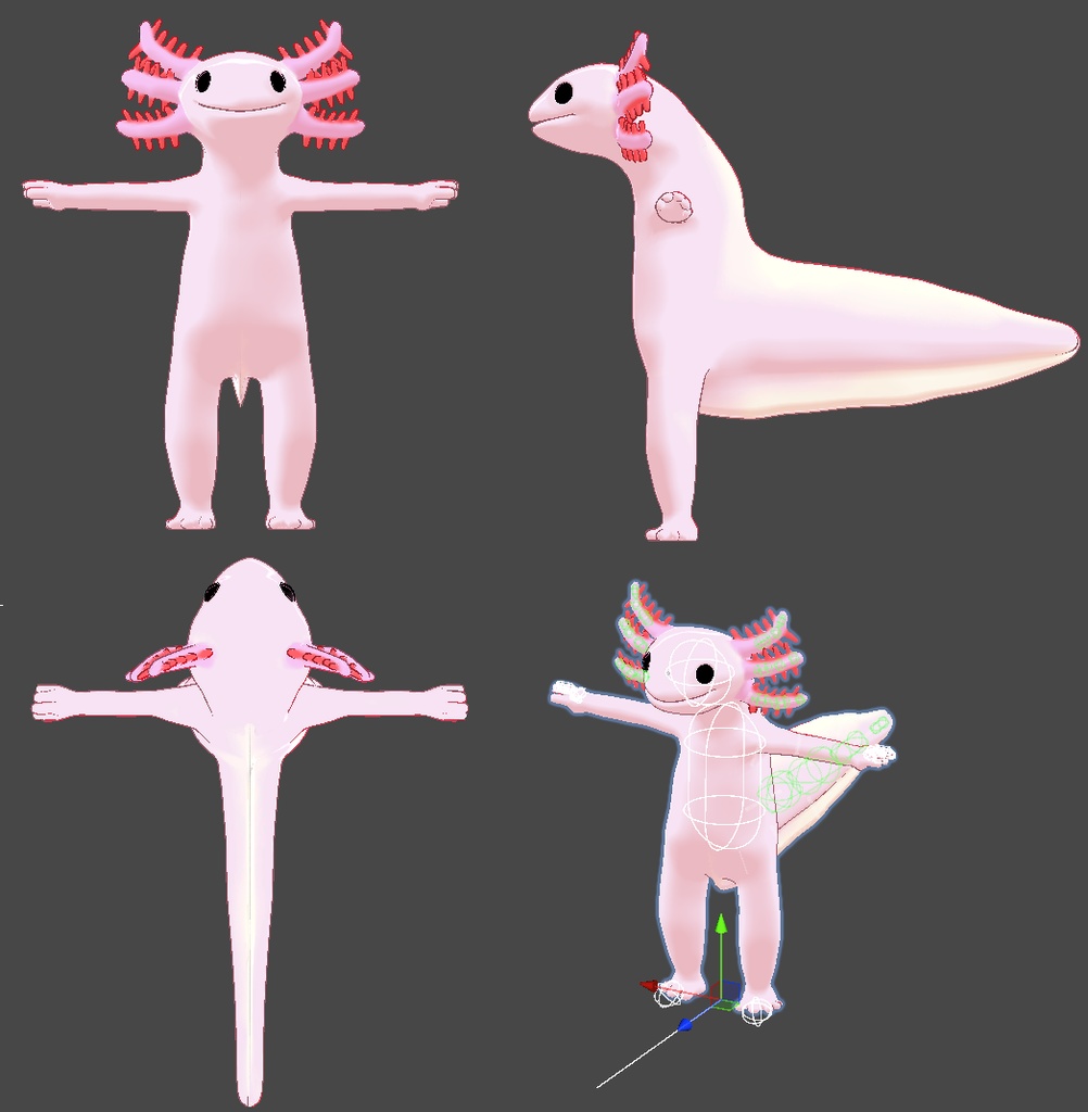 Axolotl - アホロートル(ウーパールーパー) - 3d model - maneulssam - 2/3