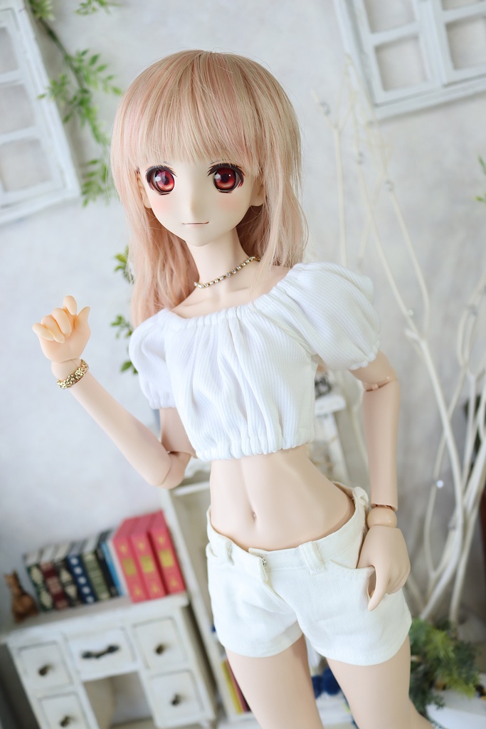 1/3ｻｲｽﾞ:パフニット