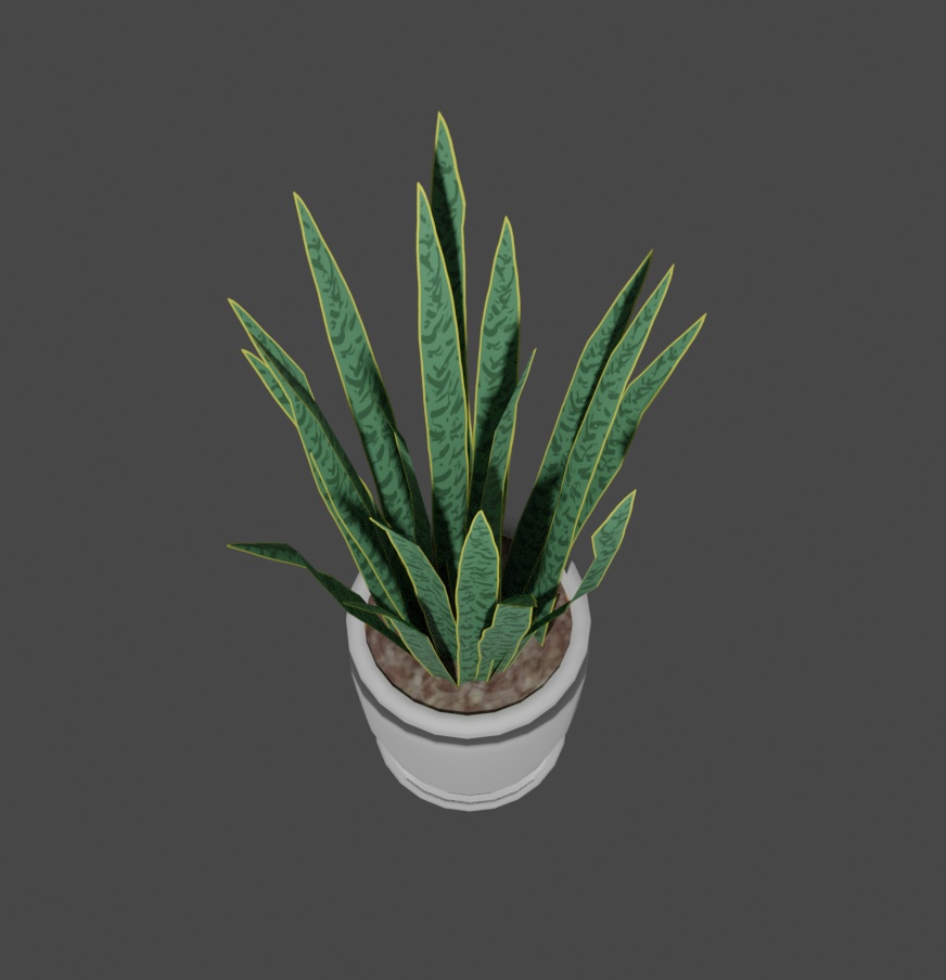 観葉植物