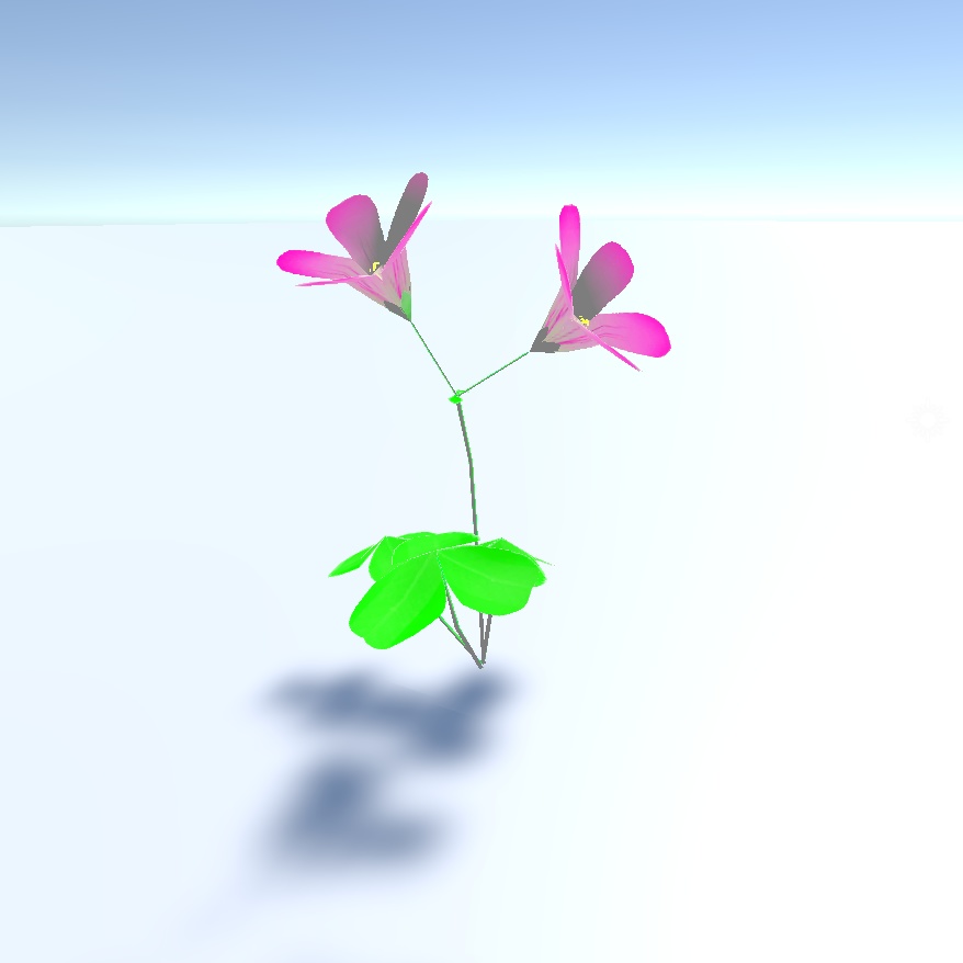 カタバミ 植物 3Dモデル (.fbx Unitypackage対応)